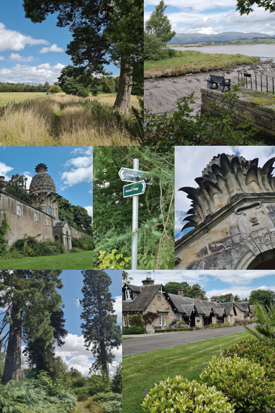 Collage of Dunmore countryside, woodland, local signage and the Pineapple building